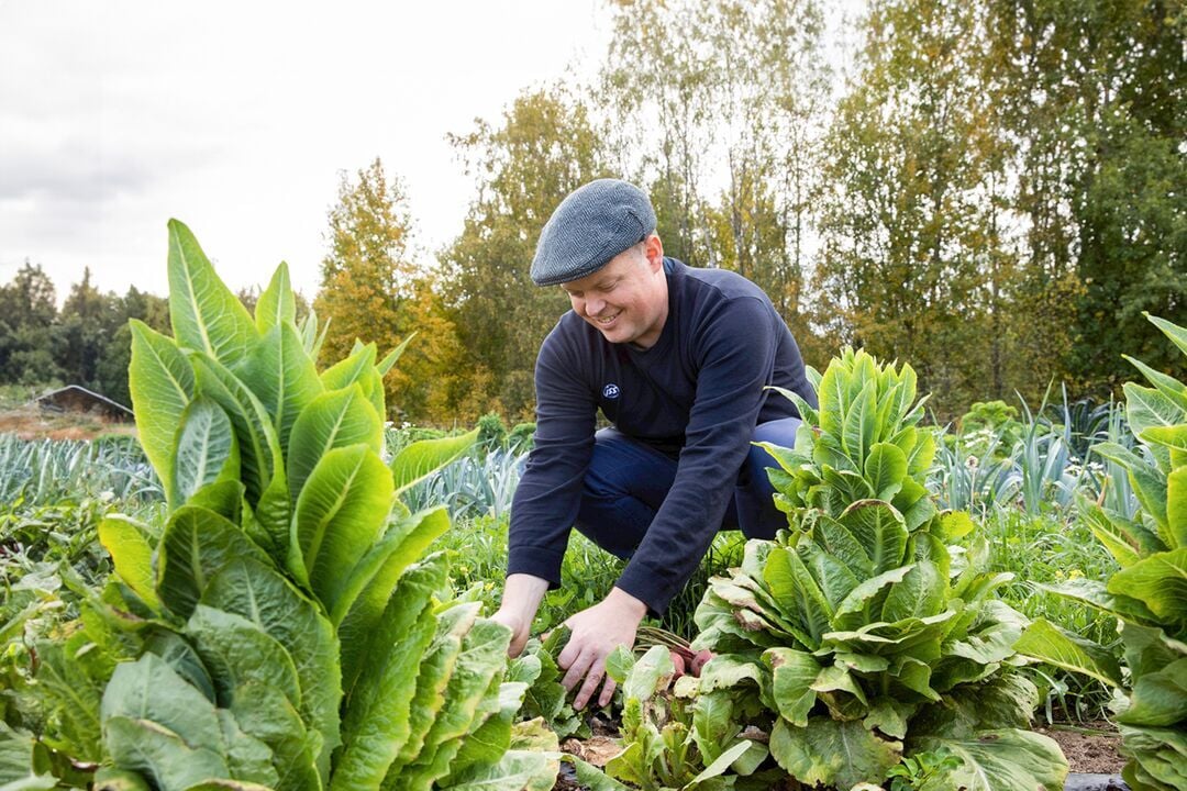 Web_Desktop-2024_ISS_FI_Chef lauke