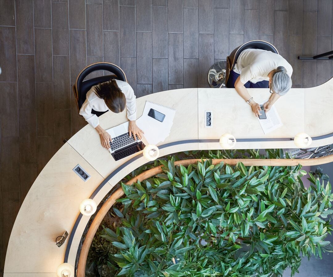 Web_Desktop - Jaunas studentas ir suaugusi moteris dirba prie to paties stalo